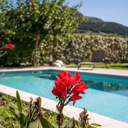 Appartement L'ecrin Du Clocher Maison Piscine Jardin Wifi Rivière-sur-Tarn