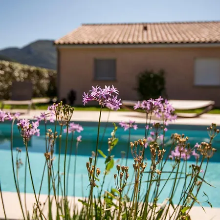 Apartament L'ecrin Du Clocher Maison Piscine Jardin Wifi *