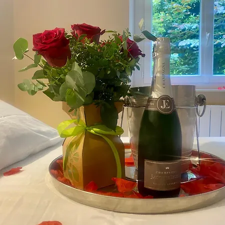 L'ecrin Du Clocher Maison Piscine Jardin Wifi Appartement