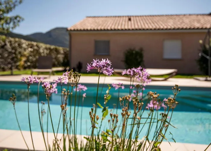 Appartement L'ecrin Du Clocher Maison Piscine Jardin Wifi *