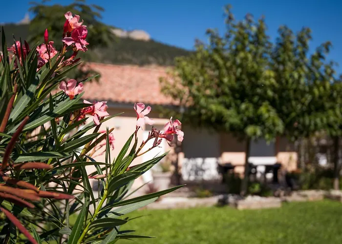 L'ecrin Du Clocher Maison Piscine Jardin Wifi Appartement