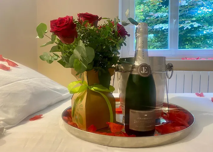 L'ecrin Du Clocher Maison Piscine Jardin Wifi Appartement